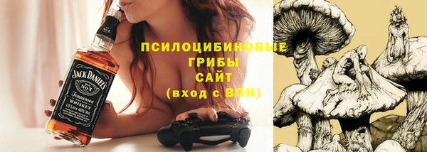 крисы Арсеньев